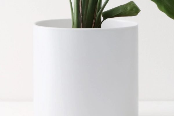 12 inch plant pot