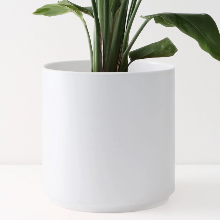 12 inch plant pot