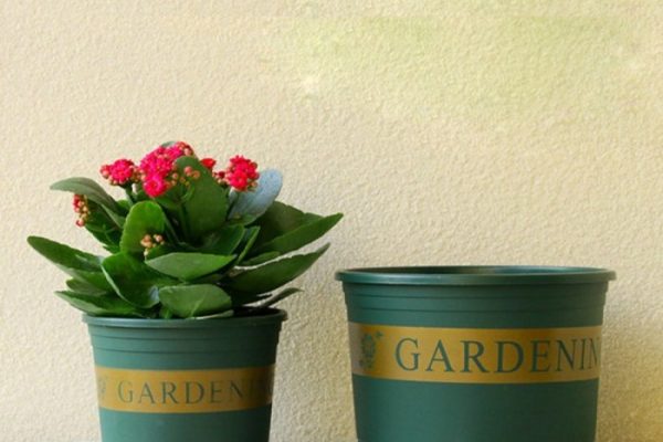 2 gallon plant pots