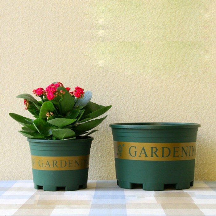 2 gallon plant pots