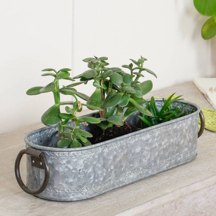 Windowsill trough rectangular watering